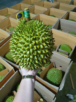 Premium kwaliteit gedroogde verse durianpulp, vacuüm verpakt, biologisch, uit Vietnam, gemaakt van rijpe Monthong en Ri6, voor bulk export.