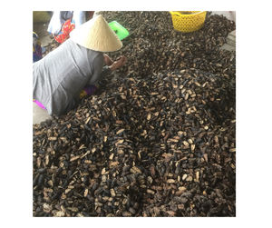 Poudre et tranches de noni séché de haute qualité du Vietnam Morinda Citrifolia naturelle de haute qualité pour l'exportation - Product Image 2