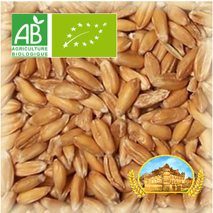 Malt Château Epeautre (Spelt) BIO - Product Image 1