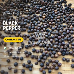 Poivre noir poivre blanc Grade 1 500G/L 550G/L 5MM 600G/L FAQ Machine propre épices simples herbes Vietnam cru séché + 84928148271 - Product Image 3