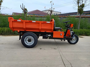 Triciclo de Carga de 3 Ruedas de Alta Resistencia, Vehículo de Transporte de Carga Diésel/Eléctrico para Uso en Logística Agrícola y Fábrica, Duradero y Potente - Product Image 6