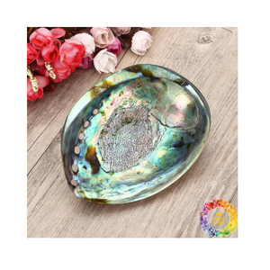 Vente en gros de superbes coquilles d'ormeau pour l'artisanat et la décoration Matériau de coquillage naturel poli pour la maison et le restaurant - Product Image 1