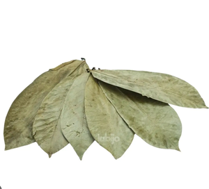 Dried Annona Muricata Leaves For <b>Tea</b> Producers And Beverage Brands From Vietnam | Soursop Leaf - Product Image 6
