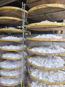 Viande de noix de coco séchée en vrac, noix de coco vietnamienne de qualité supérieure, bande de noix de coco en gros, exportation vers de nombreux pays, forte capacité d'approvisionnement - Product Image 2