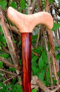 ไม้เท้าไม้ปรับได้พร้อมนอตหลายอันไม้เท้าแข็งแรงสำหรับผู้สูงอายุตามมาตรฐานสากล - Product Image 5