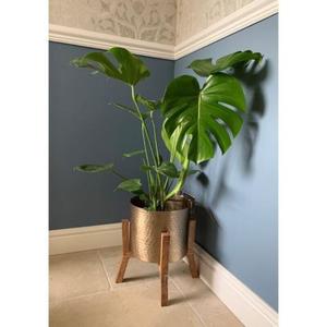 Jardinières en laiton de qualité supérieure durables avec drainage pour plantes d'intérieur et poignée en laiton forme et taille personnalisées pour les intérieurs de luxe - Product Image 4