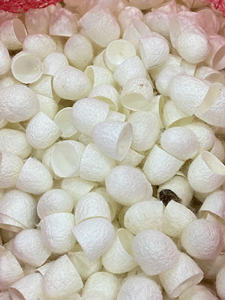 White Silkworm Cocoon para manualidades y cuidado de la piel Exfoliación facial - Product Image 2