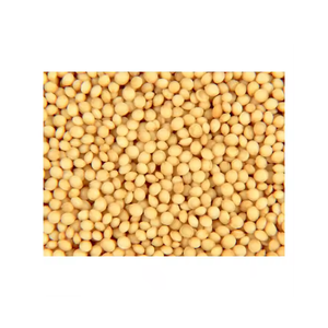 Semillas de amaranto Rajgira de alto grado, origen indio, empaquetado a granel de grano entero limpio natural a precio de exportación competitivo - Product Image 5