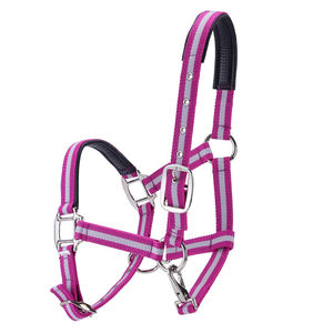 Longe pour cheval confortable, rembourrée, durable, haute résistance, option cuir véritable, quincaillerie résistante à la rouille, facile à utiliser, avec corde de trelage. - Product Image 1