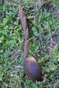 Cuillère en bois écologique de cuisine de tous les jours fabriquée à la main à partir de bois naturel avec miroir polonais pour la cuisson en remuant le service - Product Image 2