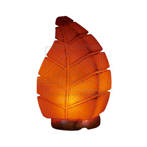 Lampe en sel de l'Himalaya sculptée de style nouveau - Décoration d'intérieur Cadeau avec design personnalisable et toucher réel - Product Image 2