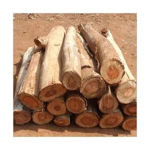 Strong square <b>logs</b> available for wholesale trade and industrial timber projects - Product Image 6