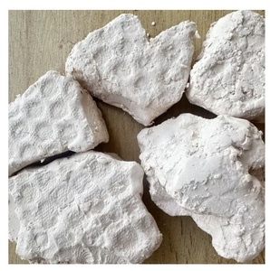 Argile Kaolin de Qualité Supérieure en Poudre – Approvisionnement en Gros pour l'Exportation – Minéral Industriel Haute Pureté pour Diverses Applications - Product Image 6