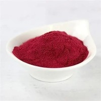 Poudre d'extrait de racine de betterave, extrait végétal naturel séché par atomisation, qualité alimentaire pour la fabrication et l'utilisation industrielle, meilleur prix de gros