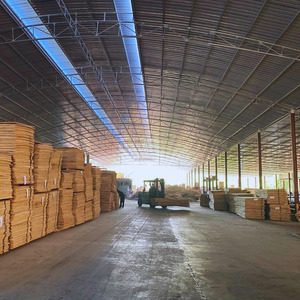 Precio barato al por mayor de madera contrachapada BC estándar europeo de alta calidad Madera contrachapada BC enviada directamente desde la fábrica de Vietnam - Product Image 3