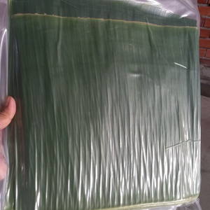 ใบตองแช่แข็งสดและสะอาดพร้อมส่งออกทั่วโลก - Product Image 6