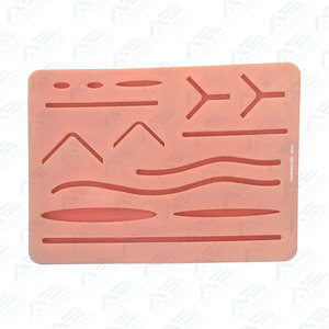 Medical Students <b>Suturing</b> <b>Kits</b> With Suture Practice Pad Dissecting <b>Kit</b> Surgery Veterinary Instruments Surgical Suture <b>Kit</b> - Product Image 6