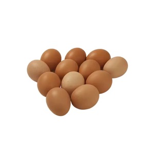 High Standard Best Quality Chicken Egg From Brazil Fresh and Natural Egg Wholesale Price <b>Animal</b> <b>Products</b> Eggs - Product Image 2