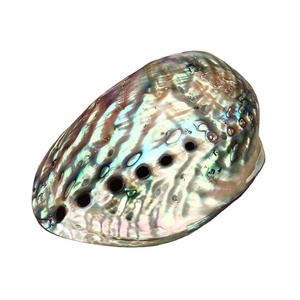 Venta directa de fábrica concha de abulón pulida grande natural en stock con buen precio mejor precio en Vietnam abulón - Product Image 5