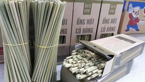Haute Qualité De Pailles D'herbe Vietnam Eco Friendly Herbe Pailles À Boire Vente En Vrac Pour L'exportation Avec Des Prix Pas Cher De Eco2go - Product Image 5