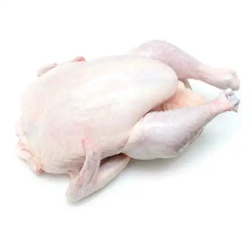 Frozen Chicken Parts From Brazil Approved Suppliers