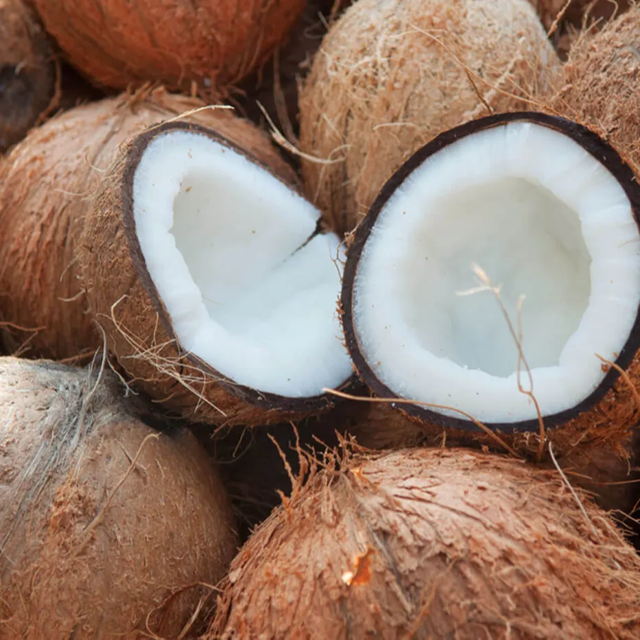 Atacado vietnamita preço barato coco seco natural pronto para exportação