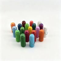 Hot Selling Viral Style 3D Printed Textured Pain Stim Roller Spiky Grippie Sensory Keychain Anxiety Relief Focus Tool for Work
