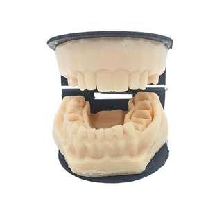 เครื่องมือผ่าตัดด้วยตนเอง747400071C43แบบจำลองการเย็บซิลิโคนสำหรับจัดฟันบริเวณขากรรไกรล่าง - Product Image 1