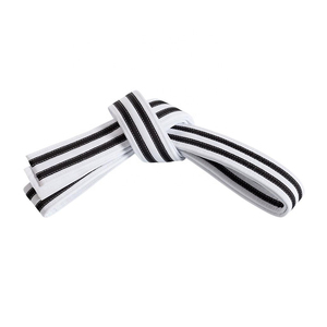 Cinturones de Taekwondo de Tela de Alta Durabilidad, Equipamiento de Artes Marciales, Ropa Deportiva, Cinturones de Taekwondo Transpirables para Deportes de Combate - Product Image 2