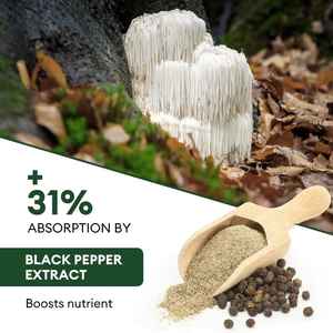 แคปซูลเห็ดแผงคอสิงโตออร์แกนิกสารสกัดจากสมุนไพรธรรมชาติสำหรับหน่วยความจำและโฟกัส - Product Image 5