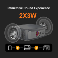 Mini projecteur de données Lonnst à bas prix, projecteur vidéo chinois fabriqué en Chine, C230, projecteur USB portable de petite taille avec un nouveau design