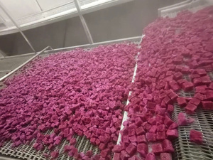 Origen de Vietnam Premium Frozen Dragon Fruit Slices BRC HACCP Exportador certificado - Product Image 2