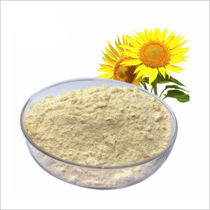Poudre pour compléments alimentaires, extrait de tournesol biologique en poudre, protéine biologique, protéine de graines de tournesol en poudre, directement d'Inde - Product Image 2