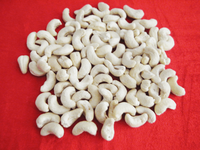 Noix de cajou W450 blanches et pures AFI Standard exportées vers le Vietnam Origine Binh Phuoc Service OEM/ODM + 84 379 472 573