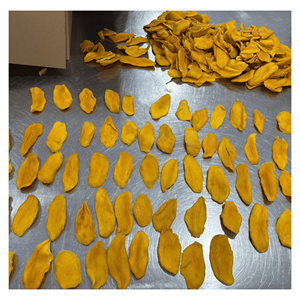Soft Dried Mango Natural mango slices for chewy snacks baking ingredients and wholesale distribution Vietnam origin - Product Image 2