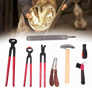 Kit profesional de herramientas de herrador hecho a medida para el cuidado de las pezuñas de caballos Juego de instrumentos veterinarios Premium para el mantenimiento de las pezuñas - Product Image 2