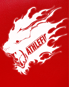 Athlefit OEM Winning Soft Leather Focus Mitts Punching Training Equipment pour Kickboxing MMA Martial Arts - Product Image 6