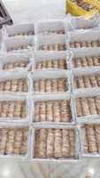Calmar séché de haute qualité disponible fruits de mer naturels de qualité supérieure pour les restaurants et les distributeurs fabriqués au Vietnam 2025