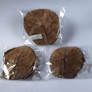 Hojas de Almendro Indio Silvestre (Terminilia Catappa) de Atlantic Beach, 32 Hojas, Grado Alimenticio, para Té - Product Image 2