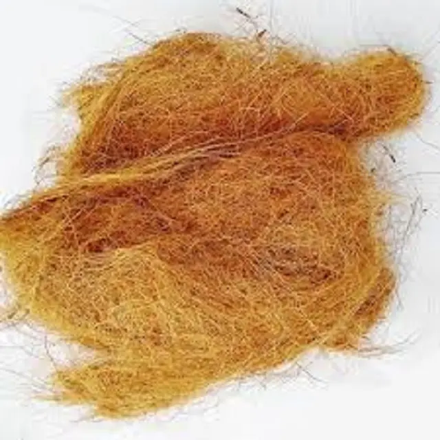 custom made coconut fiber , coir fiber cut in size 6 cm suitable for educational and technical applications Low Price