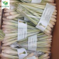 Citronnelle congelée de qualité supérieure meilleur pack de variétés d'épices santé-frites frites fraîches séchées haricots pois oignons graines de pommes de terre