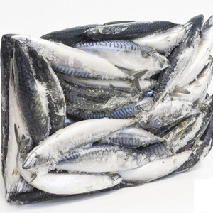 Frozen Horsmakreel Prijs Hele Ronde Hgt Ronde Scad Vis Land Iqf Bevroren Pacific Makreel 20Kg Doos