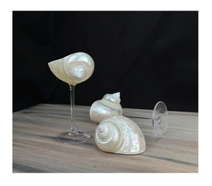 Copas de vino de concha de mar personalizadas disponibles en varios colores y tamaños para compradores mayoristas - Product Image 1