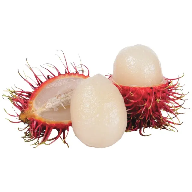 अनुकूलित ब्रांड RAMBUTAN वियतनाम उष्णकटिबंधीय फल 100% उच्च गुणवत्ता निर्यात के लिए तैयार ताजा शैली GLOBALGAP ग्रेड