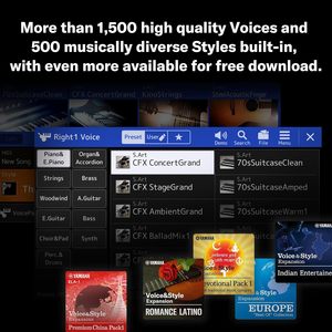 FANTOM/06 Digital Piano with KS-20X DP-10 EV-5 Black Series Audio/MIDI <b>Cables</b> Case - Product Image 5