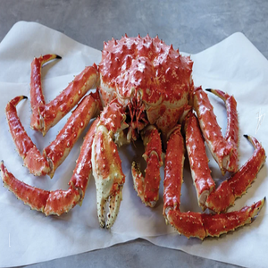 Crabe des neiges et crabe roi en gros - Product Image 1