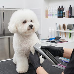 Cortadora de Pelo Profesional Recargable para Mascotas, Tamaño Personalizable, Cortadora para Perros, Tijeras de Acero Inoxidable para el Cuidado de Animales - Product Image 2