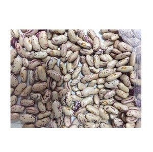 Haricots sucrés légèrement mouchetés |   Haricots Pinto : Achetez en ligne, Offre de Gros, Fabricant, Stock en Vrac, Fournisseur - Product Image 2
