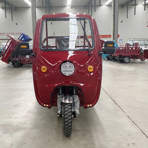 Triciclo de Carga de Tres Ruedas de Alta Velocidad con Motor de Gasolina, Carrocería Abierta, Toldo y Sistema de Reversa Motorizada - Product Image 2