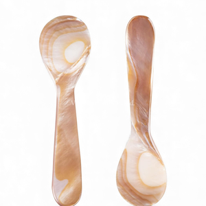 Cuchara Artesanal de Nácar para Mesa de Postres y Degustación de Caviar Directamente de Fábrica en Vietnam - Product Image 3